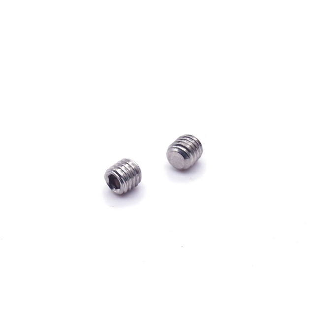 Custom CNC Machined Cock Screw for Valves
